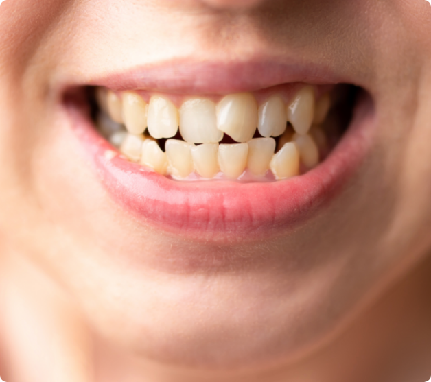 AdobeStock_510629874 - Kopie (2)